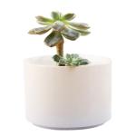 Pot en céramique avec support en bambou view 2