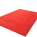 Tapis d'entrée view 1