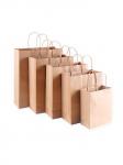 Sacs d'achat en papier kraft view 1