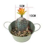 Artificial cactus-sin maceta de flores view 4