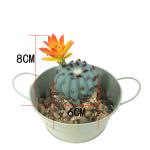 Artificial cactus-sin maceta de flores view 3