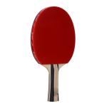 Raqueta de ping-pong con 3 bolas view 2