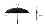 Parasol de golf view 2