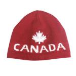 Bonnet unisexe pour femmes adultes view 1