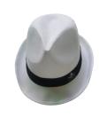 Chapeau jazz polyester view 1